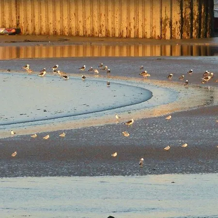 Ibis Bayeux En Bessin