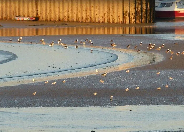 Ibis Bayeux En Bessin